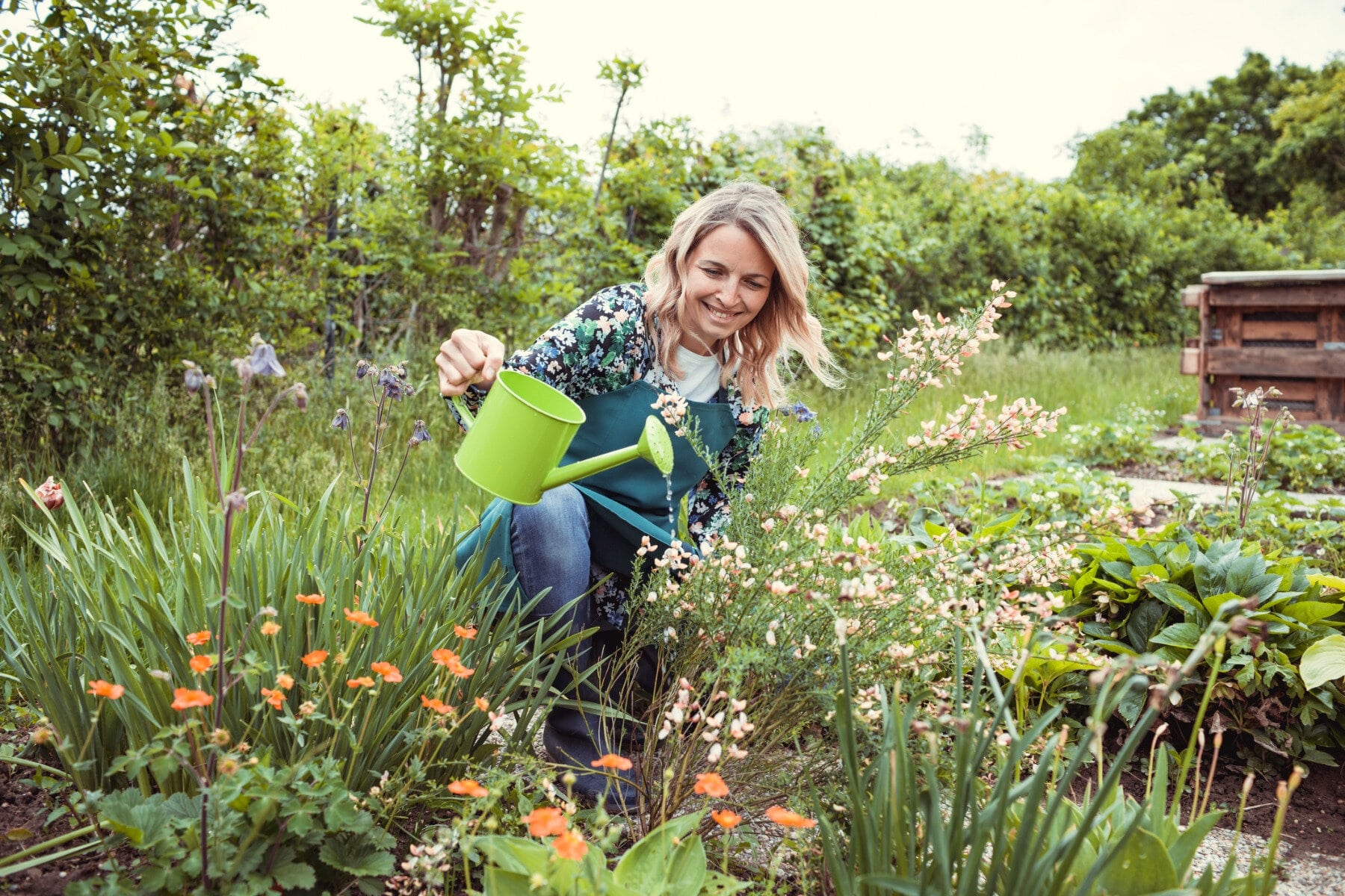 femme-arrosant-des-plantes-dans-un-jardin.jpg